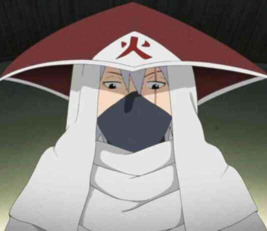 Decoding The True Meaning of Shadow Hokage: Explained news-25092024-104148