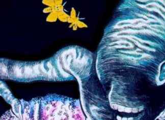 Shinichi Koga’s Mansect Horror Manga Gets Official Licensing Deal news-27092024-044708