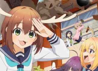 Nokotan: Surprising Global Fame Shocks Staff news-27092024-185631