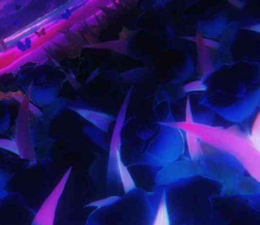 New Title: One Piece Episode 1120 Recap: Epic Battles and Surprising Twists news-27092024-185816