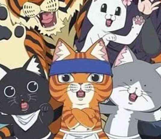 Red Cat Ramen Anime Series Review: A Detailed Analysis and Critique news-13102024-203543