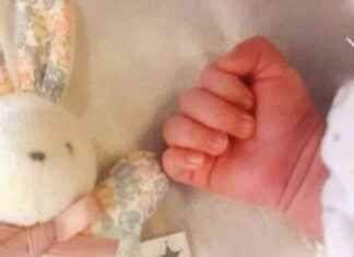 Ayaka Suwa Welcomes New Daughter: Voice Actress Announcement news-29102024-110642