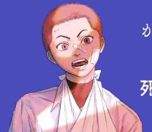 New Title: The Summer Hikaru Died Manga Surpasses 3 Million Copies, 10 Volumes Planned news-06112024-044630