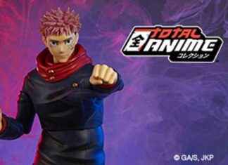 Premium Anime Collectibles: Ultimate Selection for Fans news-27112024-110424