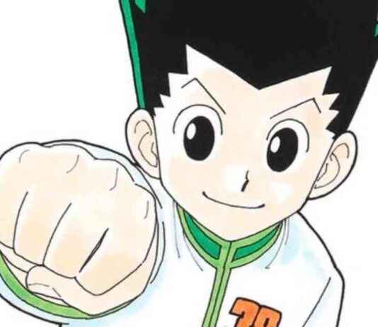 Yoshihiro Togashi’s Surgery and 2 New Hunter X Hunter Chapters news-01122024-062556