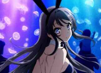 Rascal Does Not Dream of Bunny Girl Senpai English Dub Cast Revealed for Crunchyroll Debut rascal-does-not-dream-of-bunny-girl-senpai-english-dub-cast-revealed-for-crunchyroll-debut