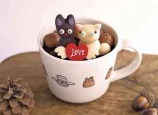 Valentine’s Day Ghibli Style Dessert: Jiji and Lily Celebration valentines-day-ghibli-style-dessert-jiji-and-lily-celebration