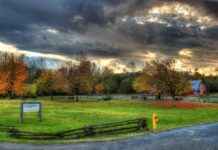 Asuka’s Complex Personality: Why She’s More Than Just a Tsundere Asuka’s Complex Personality: Why She’s More Than Just a Tsundere