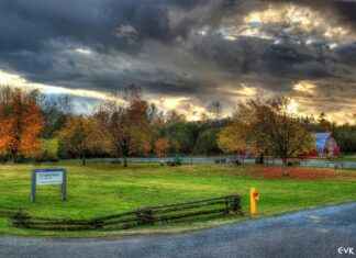 Asuka’s Complex Personality: Why She’s More Than Just a Tsundere Asuka’s Complex Personality: Why She’s More Than Just a Tsundere