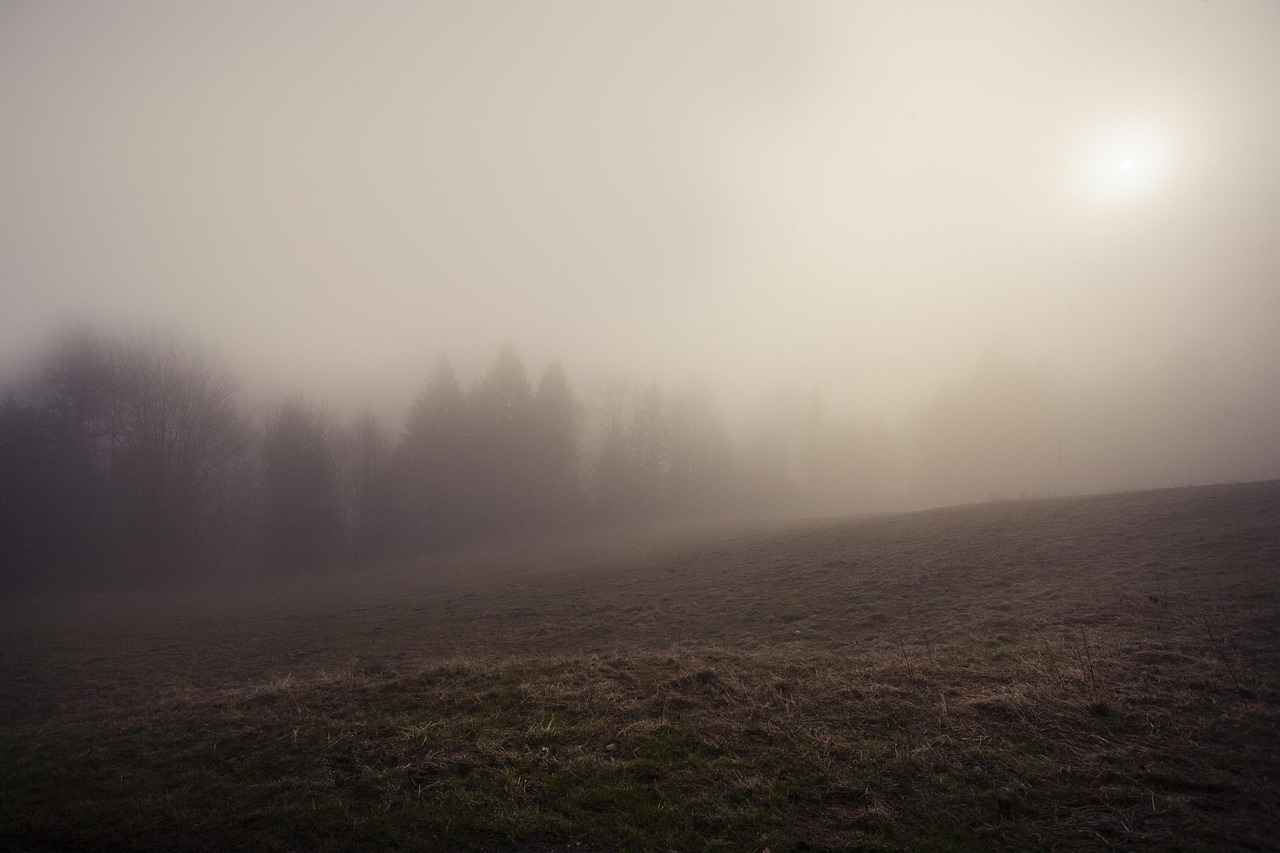 3. Psychological Horror vs. Supernatural Horror