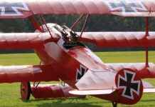 Chrome’s Role in Dr. Stone: Why He’s More Important Than You Think Chrome’s Role in Dr. Stone: Why He’s More Important Than You Think