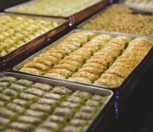 Filo’s Feathery Fury: The Secret Behind Her Incredible Power Filo’s Feathery Fury: The Secret Behind Her Incredible Power