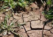 Gabi Braun’s Emotional Journey: How Attack on Titan Made Her a Hero Gabi Braun’s Emotional Journey: How Attack on Titan Made Her a Hero