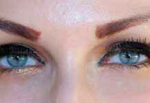 Genos’ Transformation: How He Became Saitama’s Most Loyal Sidekick Genos’ Transformation: How He Became Saitama’s Most Loyal Sidekick