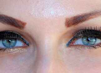 Genos’ Transformation: How He Became Saitama’s Most Loyal Sidekick Genos’ Transformation: How He Became Saitama’s Most Loyal Sidekick