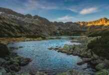 Gori’s Hidden Vulnerability: Why He’s the Heart of Aggretsuko Gori’s Hidden Vulnerability: Why He’s the Heart of Aggretsuko