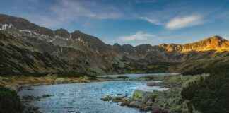 Gori’s Hidden Vulnerability: Why He’s the Heart of Aggretsuko Gori’s Hidden Vulnerability: Why He’s the Heart of Aggretsuko