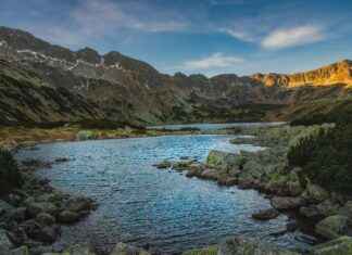 Gori’s Hidden Vulnerability: Why He’s the Heart of Aggretsuko Gori’s Hidden Vulnerability: Why He’s the Heart of Aggretsuko