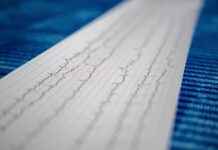 Hange’s Legacy: How Their Final Battle Changed the Course of Attack on Titan Hange’s Legacy: How Their Final Battle Changed the Course of Attack on Titan