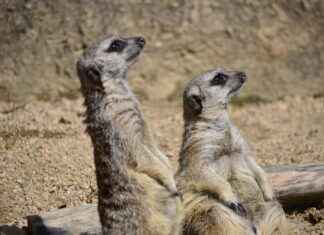 Hinata’s True Strength: Why She’s the Underdog You Should Root For in Naruto Hinata’s True Strength: Why She’s the Underdog You Should Root For in Naruto