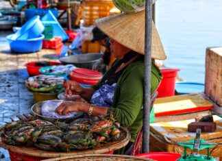 How Attack on Titan Uses Symbolism to Tell Its Story How Attack on Titan Uses Symbolism to Tell Its Story