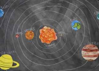 How Black Clover’s Magic System is Different from Other Anime How Black Clover’s Magic System is Different from Other Anime