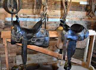 How Cowboy Bebop Became a Cult Classic How Cowboy Bebop Became a Cult Classic