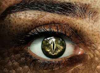 How Demon Slayer’s Breathing Techniques Work Explained How Demon Slayer’s Breathing Techniques Work Explained