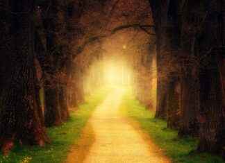 How Did Light Yagami Lose in Death Note? How Did Light Yagami Lose in Death Note?