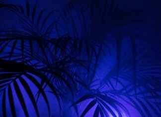 How Fate/Zero Changed the Fate Series Forever How Fate/Zero Changed the Fate Series Forever