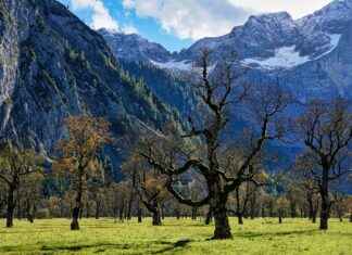 How JoJo’s Bizarre Adventure Created the Most Stylish Anime Universe How JoJo’s Bizarre Adventure Created the Most Stylish Anime Universe