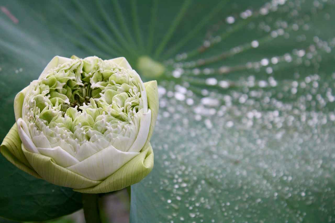 Work-Life Balance in Nanami’s Approach