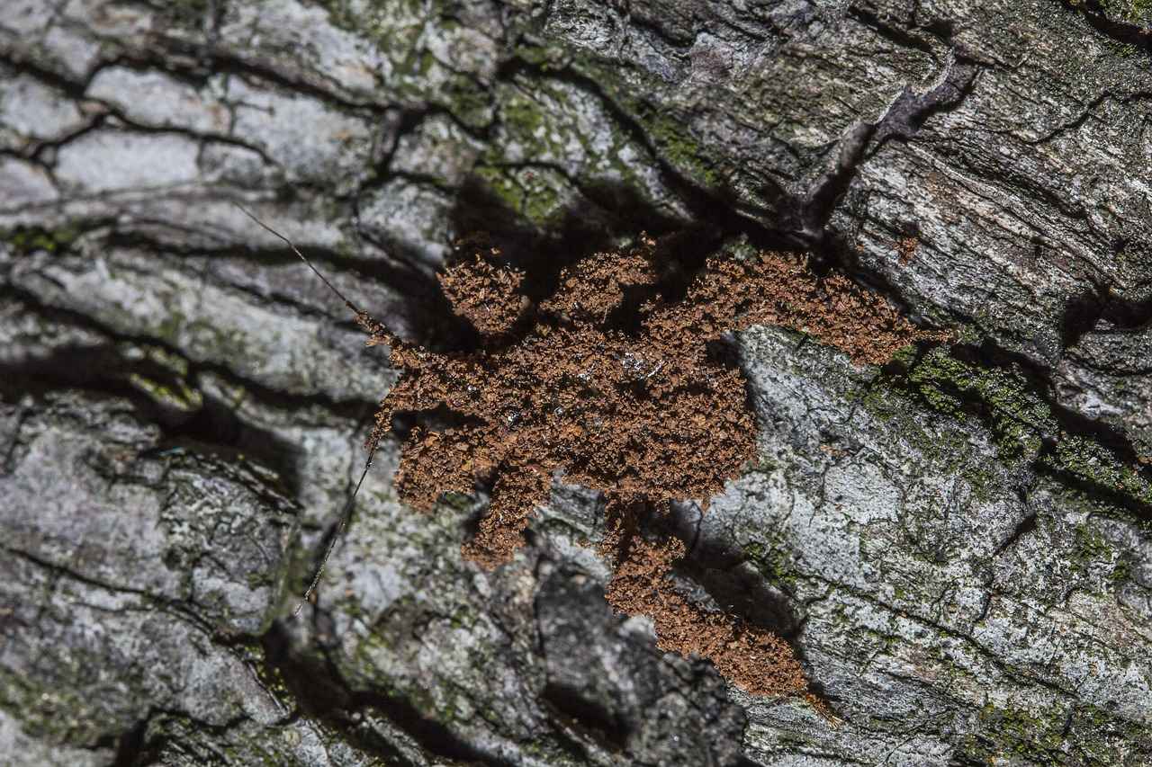 Advanced Combat Techniques