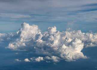 How Manga is Made: A Behind-the-Scenes Look How Manga is Made: A Behind-the-Scenes Look