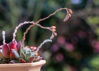 How Naruto’s Chakra System is Inspired by Real Life How Naruto’s Chakra System is Inspired by Real Life