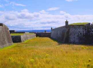 How Spirited Away is Inspired by Shinto Beliefs How Spirited Away is Inspired by Shinto Beliefs