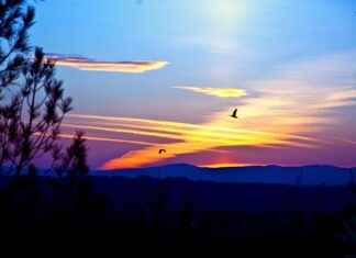 How Studio MAPPA Became the King of Modern Anime How Studio MAPPA Became the King of Modern Anime