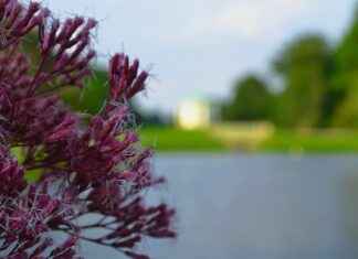 How the Power System in Jujutsu Kaisen Works Explained How the Power System in Jujutsu Kaisen Works Explained