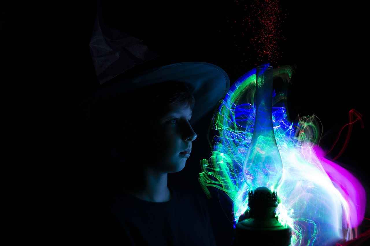 The Role of Jujutsu Sorcerers