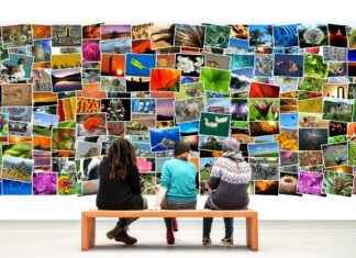 How to Start Collecting Manga Without Breaking the Bank How to Start Collecting Manga Without Breaking the Bank