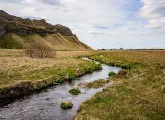 How to Watch Anime for Free (Legally) How to Watch Anime for Free (Legally)