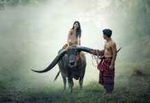 Ikki Kurogane’s Battle for the Title of ‘Strongest’ in The World’s Strongest Man Ikki Kurogane’s Battle for the Title of ‘Strongest’ in The World’s Strongest Man