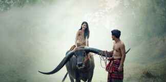 Ikki Kurogane’s Battle for the Title of ‘Strongest’ in The World’s Strongest Man Ikki Kurogane’s Battle for the Title of ‘Strongest’ in The World’s Strongest Man