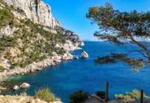 Jujutsu Kaisen Season 2 Review: Everything You Need to Know Jujutsu Kaisen Season 2 Review: Everything You Need to Know