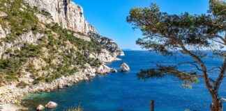 Jujutsu Kaisen Season 2 Review: Everything You Need to Know Jujutsu Kaisen Season 2 Review: Everything You Need to Know