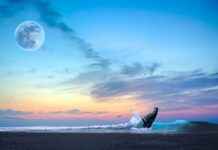 Kamina’s Unbreakable Spirit: How He Inspired Simon in Tengen Toppa Gurren Lagann Kamina’s Unbreakable Spirit: How He Inspired Simon in Tengen Toppa Gurren Lagann