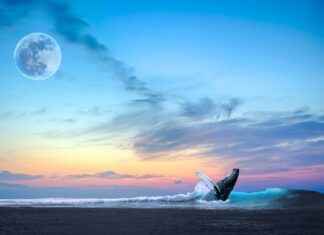 Kamina’s Unbreakable Spirit: How He Inspired Simon in Tengen Toppa Gurren Lagann Kamina’s Unbreakable Spirit: How He Inspired Simon in Tengen Toppa Gurren Lagann