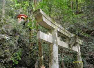 Kurama’s Transformation: From Villain to Hero in Yu Yu Hakusho Kurama’s Transformation: From Villain to Hero in Yu Yu Hakusho