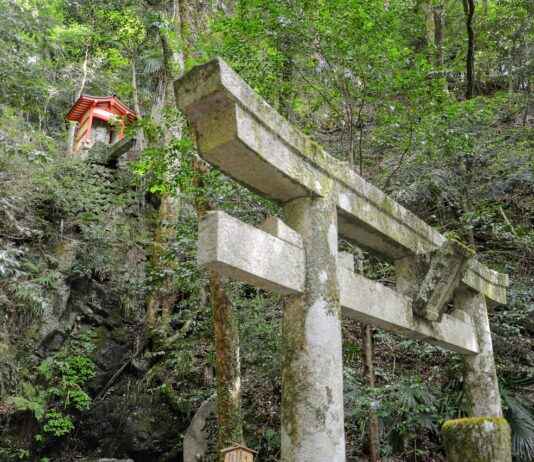 Kurama’s Transformation: From Villain to Hero in Yu Yu Hakusho Kurama’s Transformation: From Villain to Hero in Yu Yu Hakusho