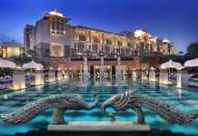 Leela’s Fearlessness: How She Became the Most Badass Character in Futurama Leela’s Fearlessness: How She Became the Most Badass Character in Futurama